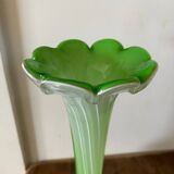 Green and white soliflore