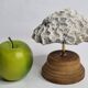 Ancien corail méandrique sur socle en bois tourné, 15 cm