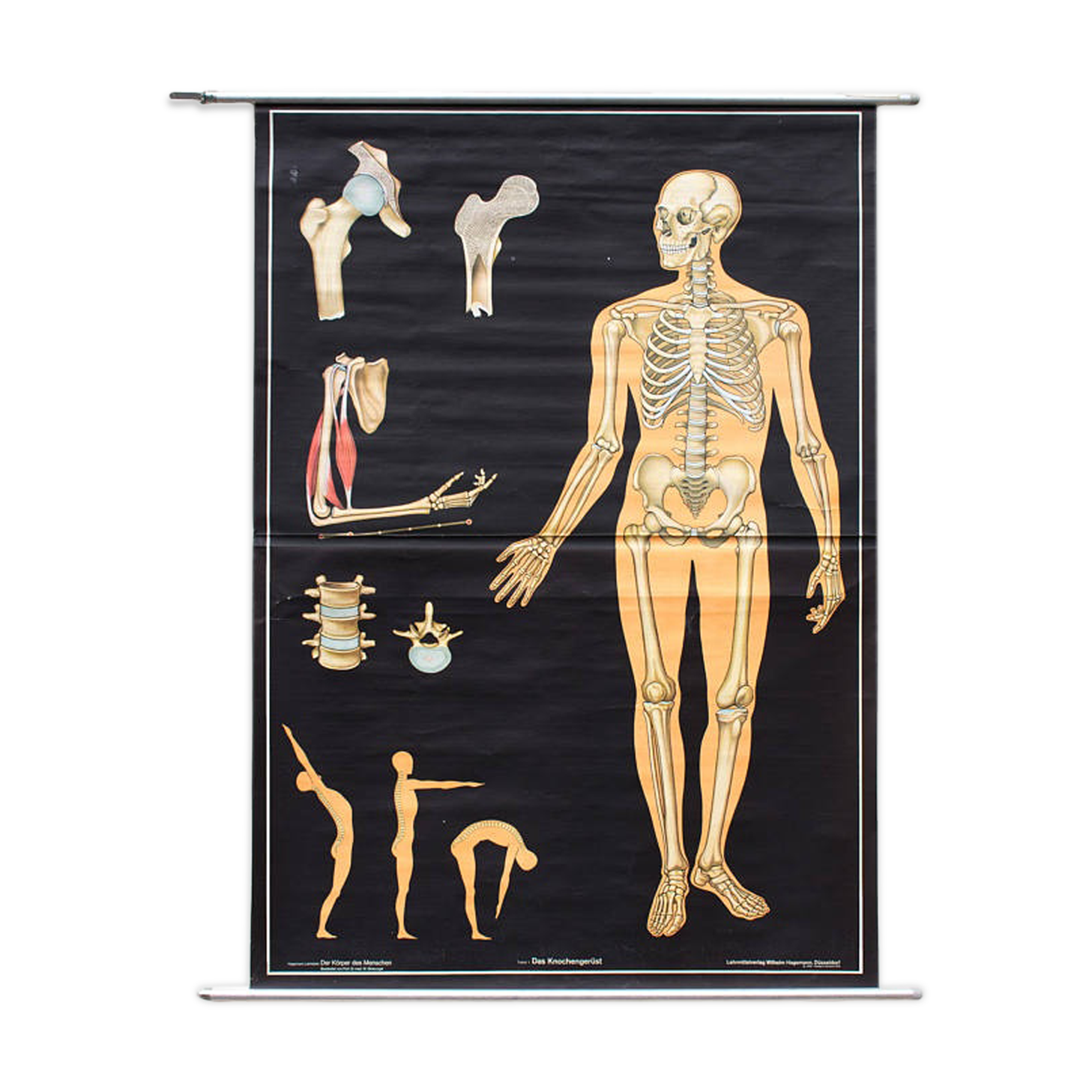 School wall poster published by Hagemann 1974