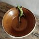 Coupe/vasque en terre cuite vermissee a decor lezard salamandre