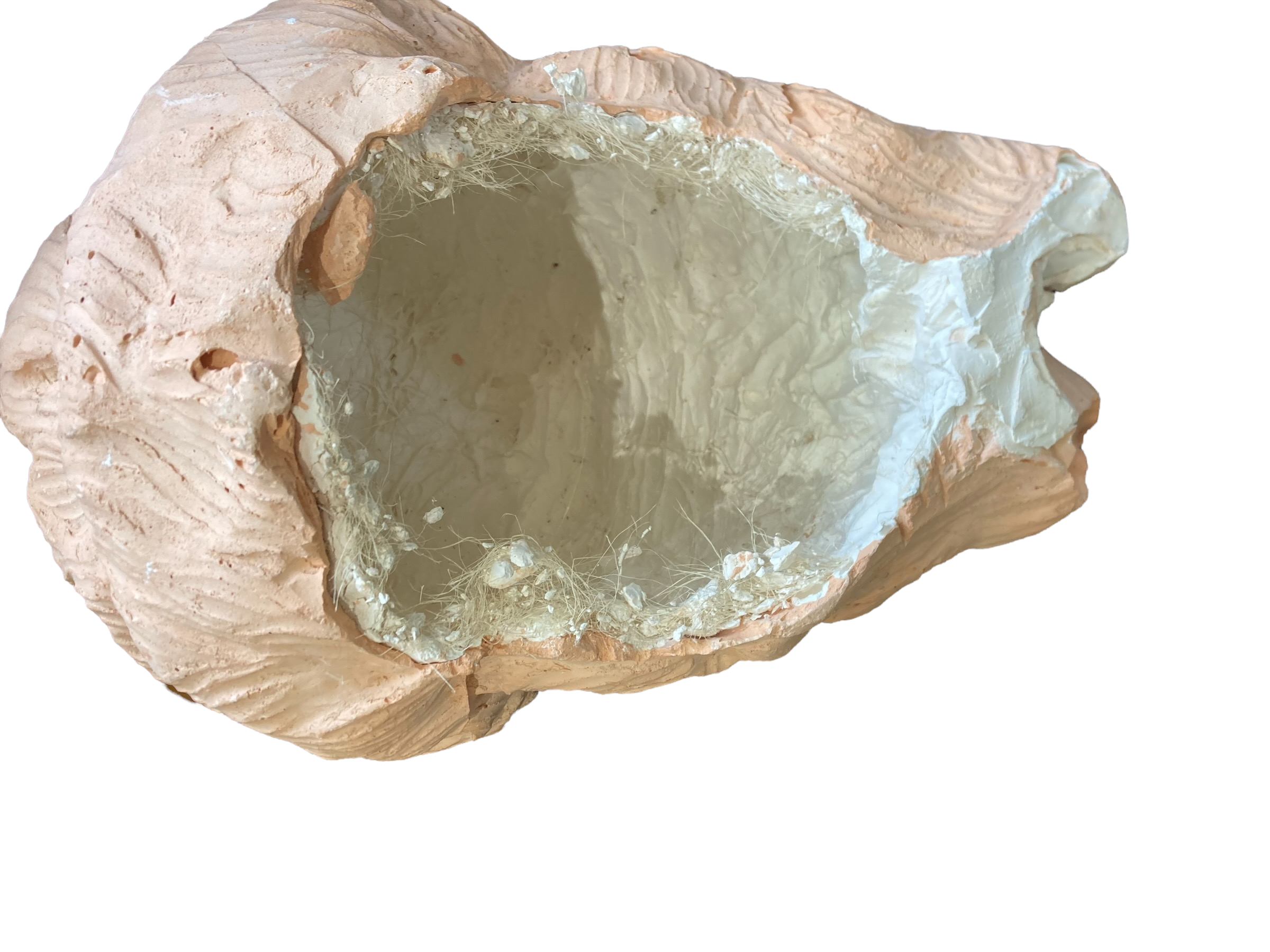 Antique style plaster head