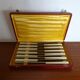 12 Art Deco knives 1930 bone or bakelite sleeves in case