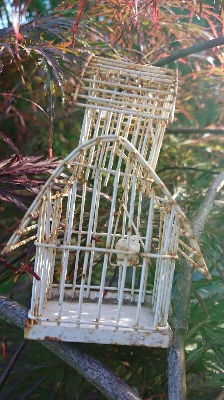 Small old birdcage