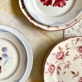 6 floral ceramic plates