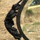 Bevelled oval mirror, richly crafted Art Deco wrought iron.
