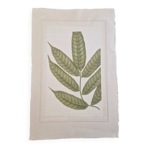 Dessin à l'aquarelle - soie