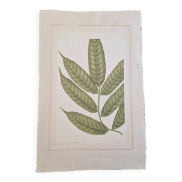 La Roche Laffitte (Born in 1943) - Watercolour drawing on silk - Ash