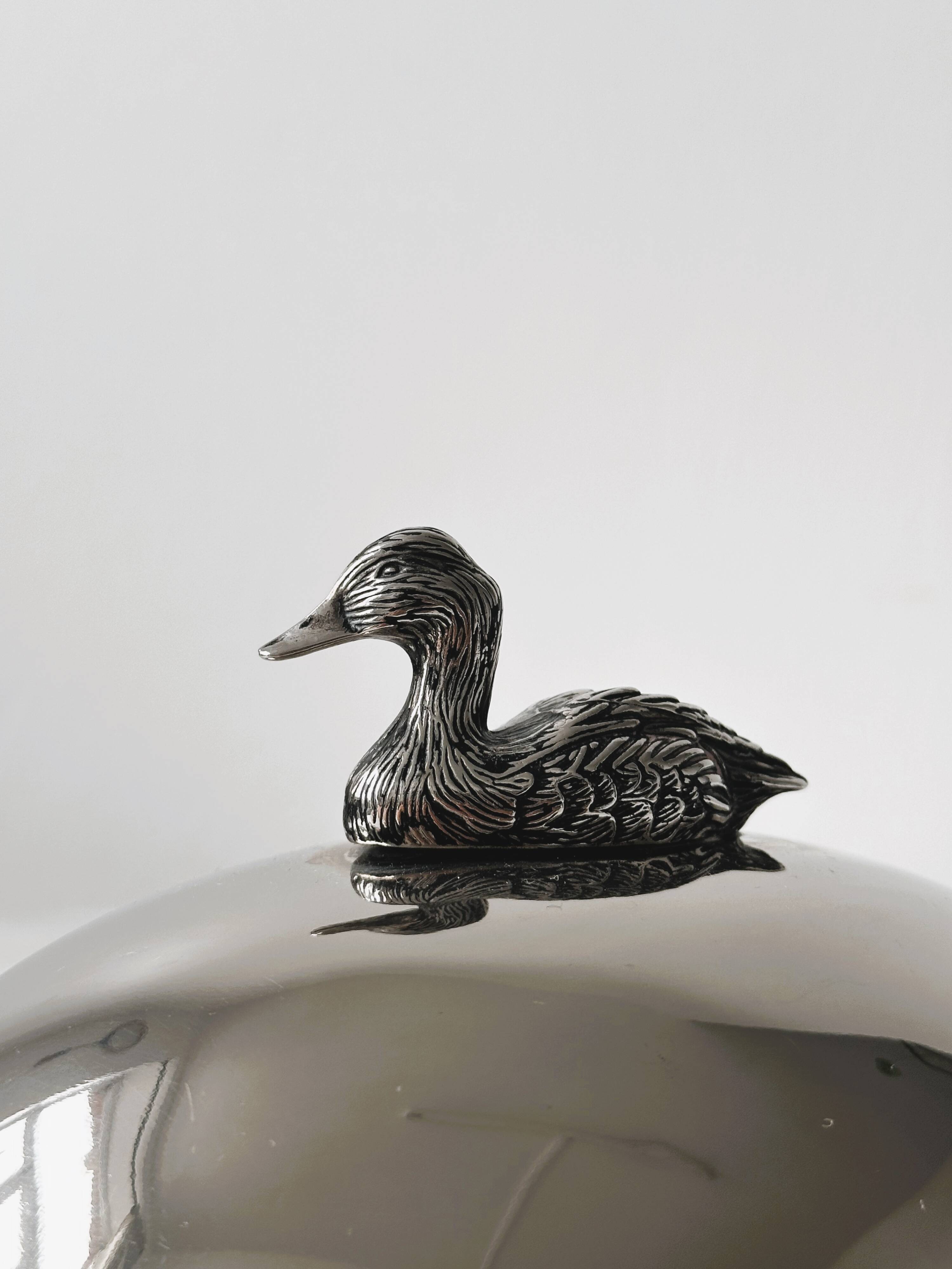 Foie gras display in stainless steel and silver metal.