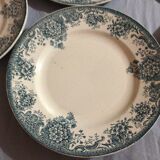 Set of 6 plates of spring iron earth Amandinoise