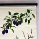 Vintage School Botanical Posters, 1950s, Set of 3