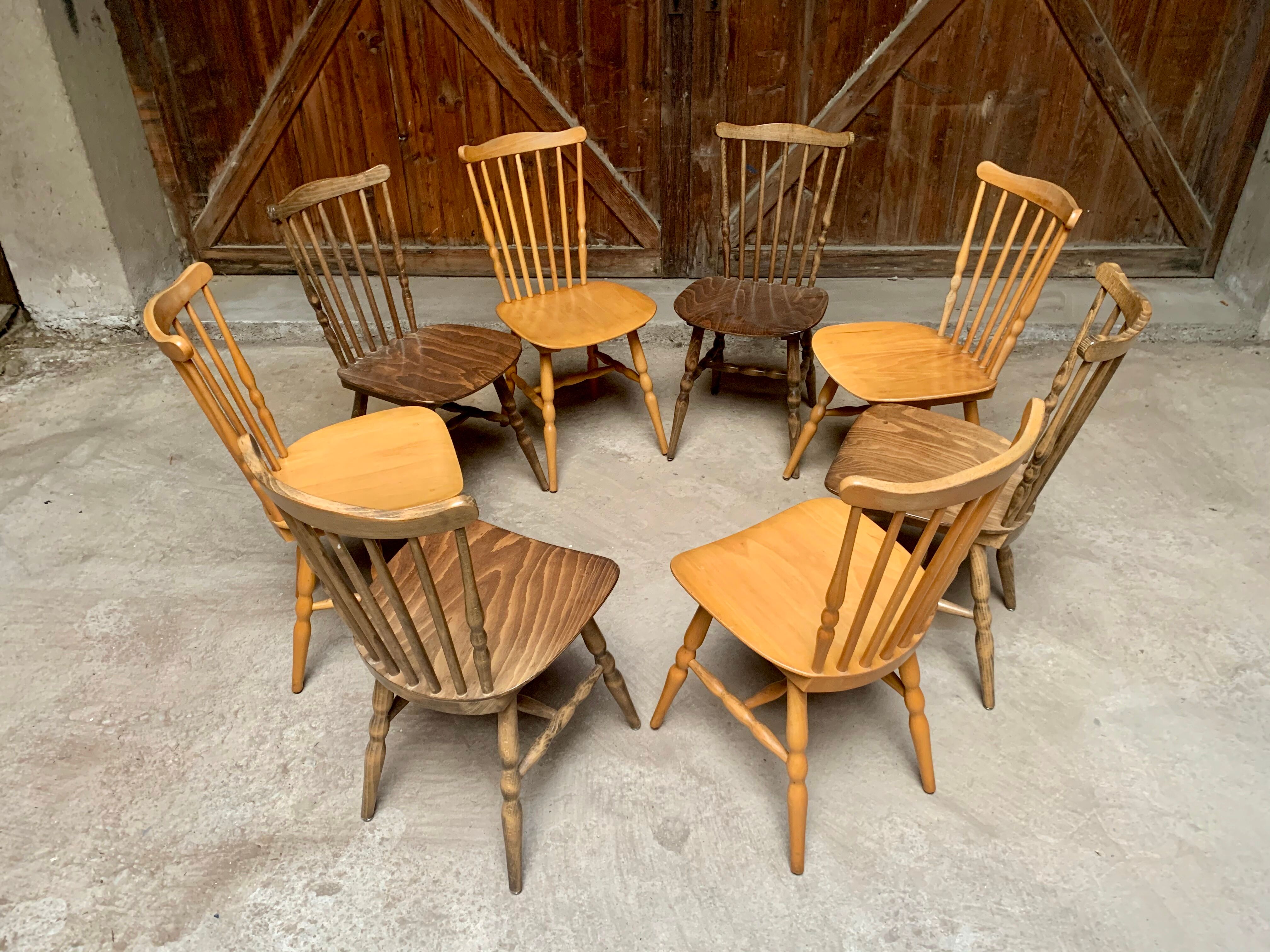 Series lot of 8 chairs bistrot Baumann modele menuet light wood dark wood