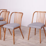 Dining Chairs by Antonín Šuman for Ton, 1960s, Set of 4