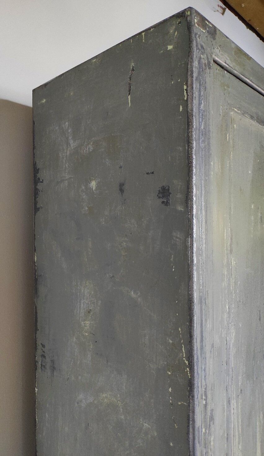 Parisian metallic wardrobe " Bauche "