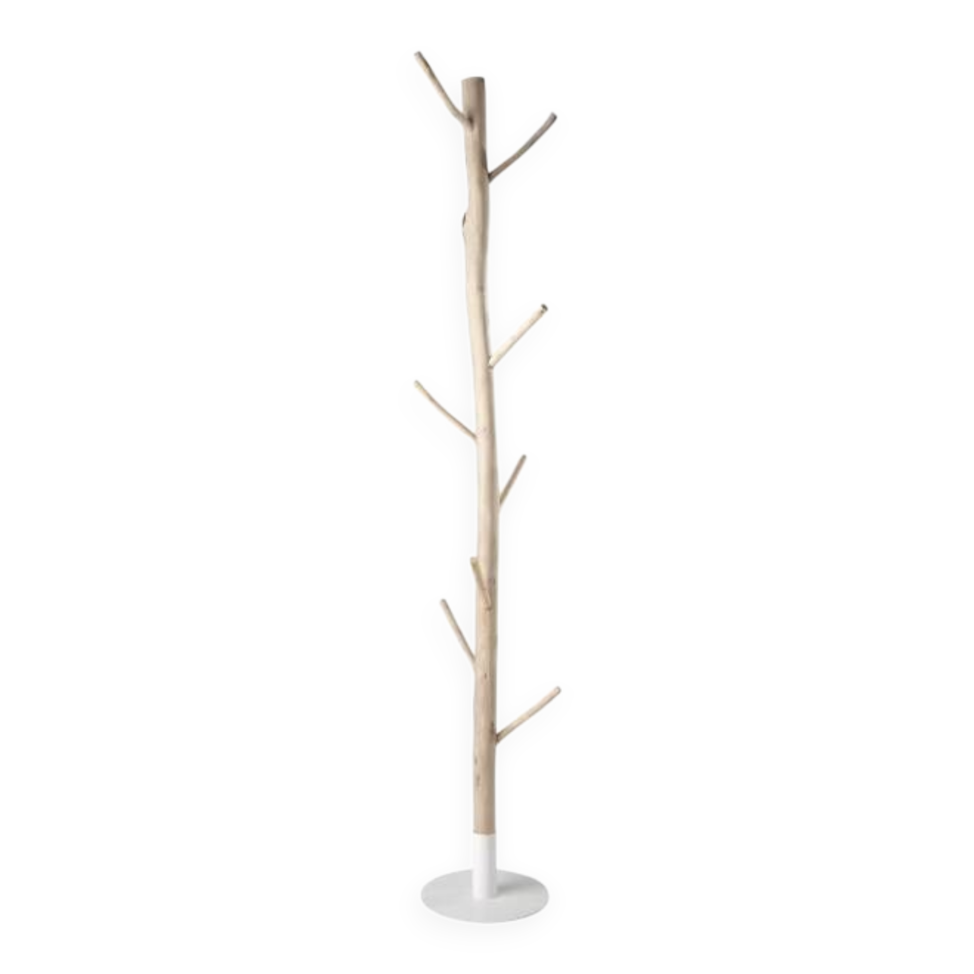 Rivage - Eucalyptus and white metal tree trunk coat rack