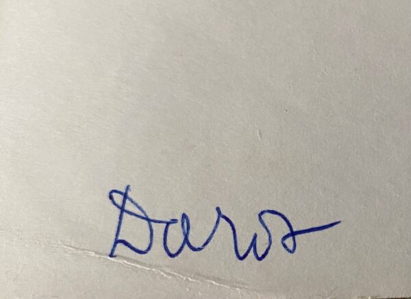 Photo argentique Bernard Darot XXe arbre dans l'eau