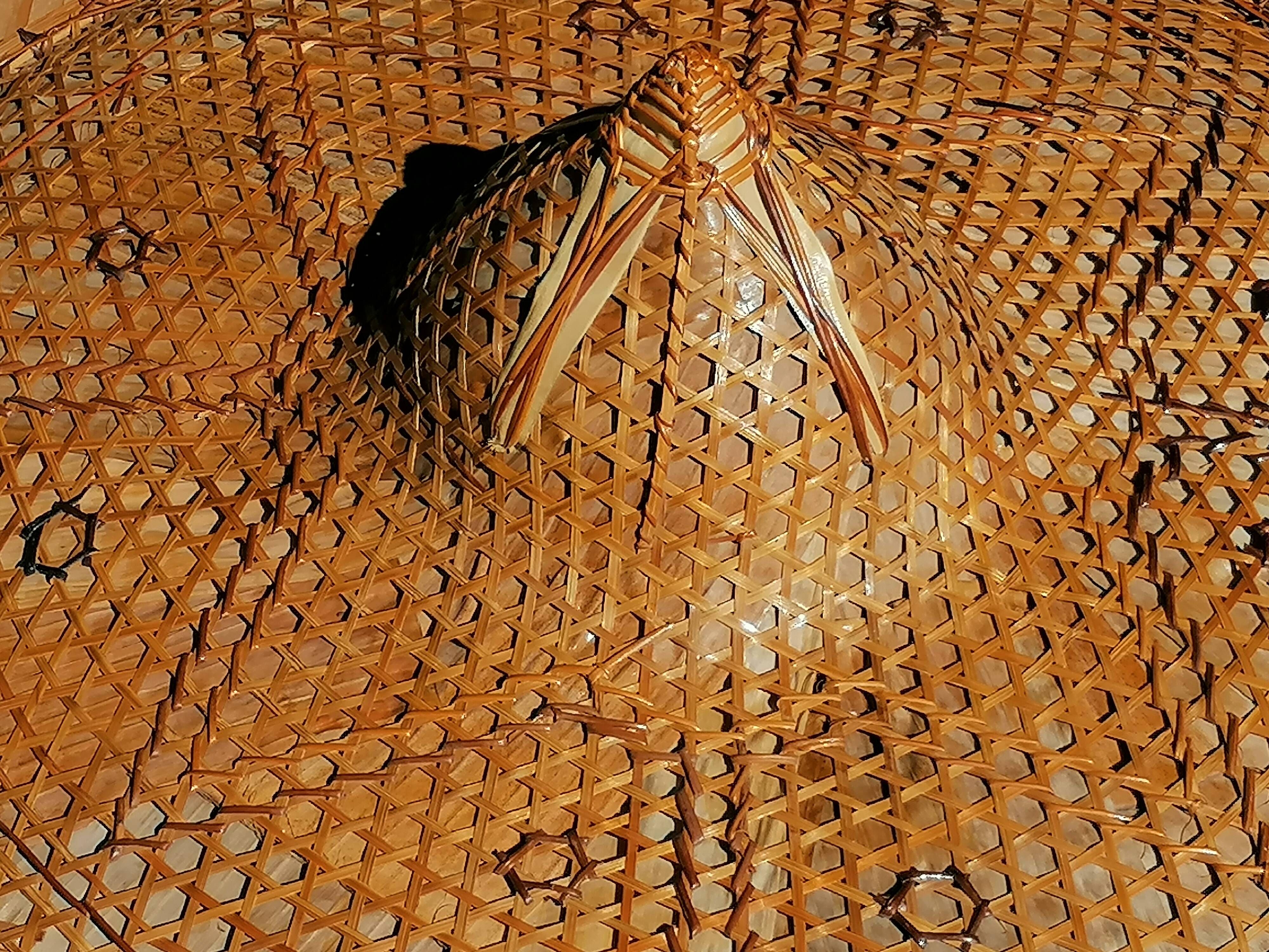 XXL Asian hat in woven caning