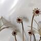 Applique Stilnovo Italien 1950-1960