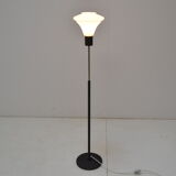 Mid-century floor lamp by Kamenicky Senov,1960