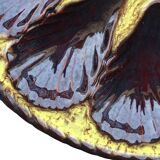 Assiette à huîtres vintage en faïence de Vallauris, signée Marius Giuge.