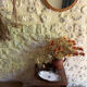 Ravier in ironstone Jules Vieillard Bordeaux model Rouen