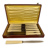 Set of 12 ivory-handled knives in its case
