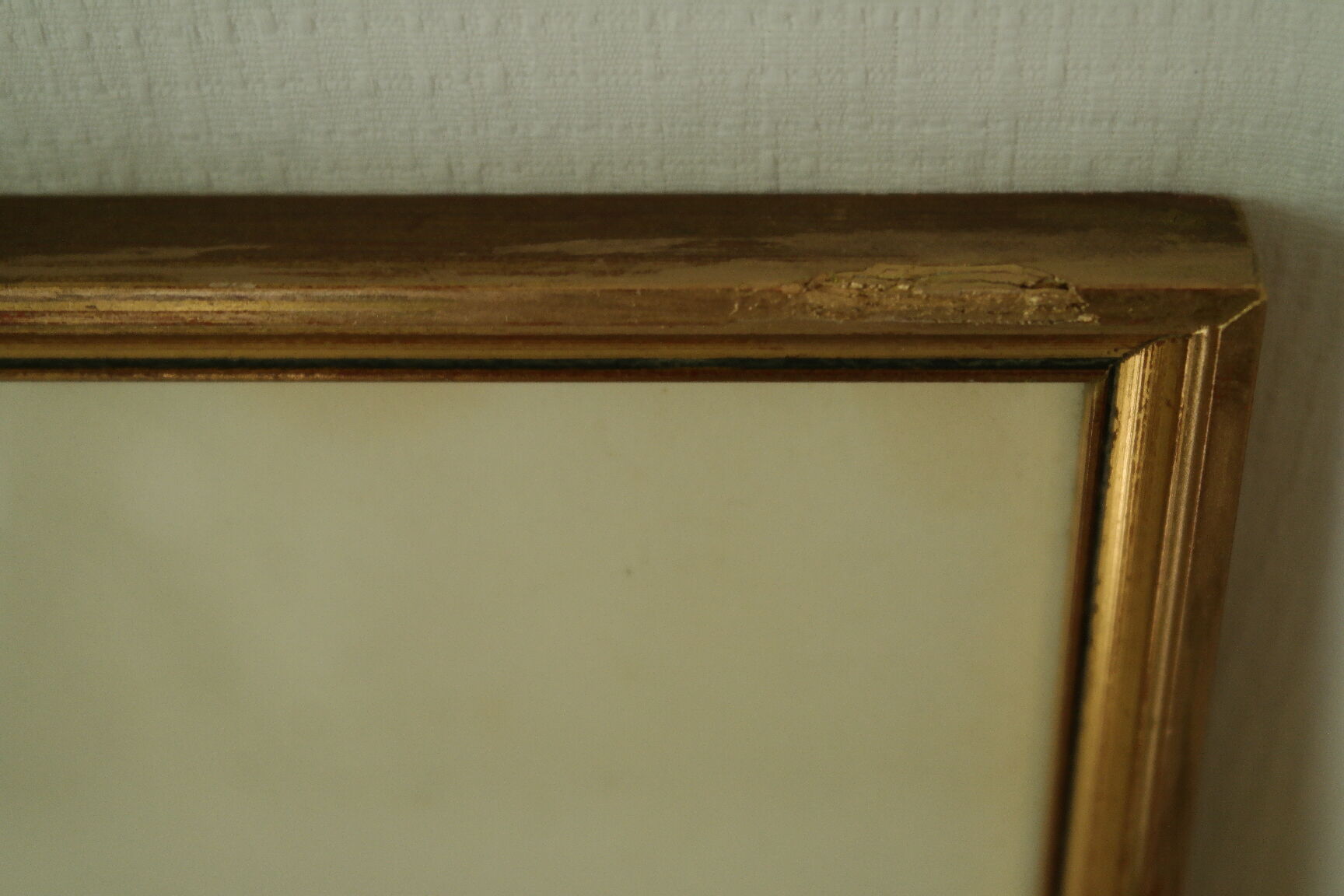 Paire de lithographies oiseaux sous cadre vintage