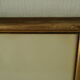 Paire de lithographies oiseaux sous cadre vintage