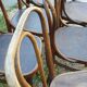 10 chaises Jacob & Joseph Kohn en bois courbé 1900