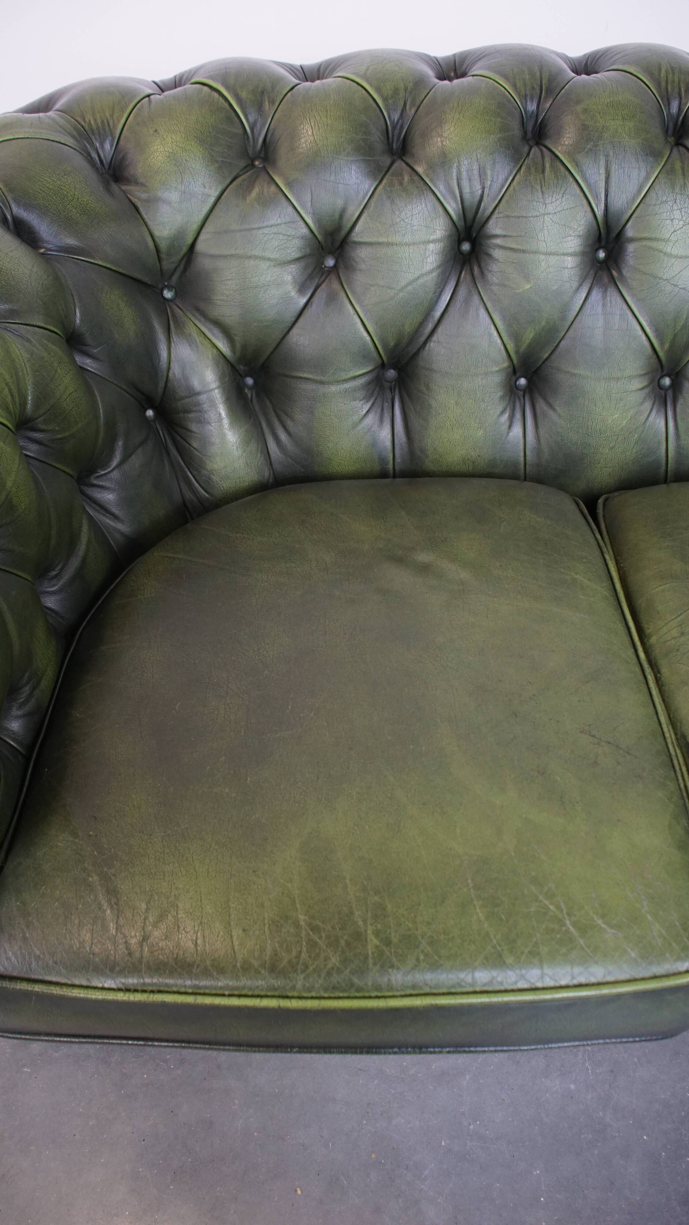 English Chesterfield 2-seater sofa in green cowhide leather