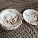 Series of 9 plates Iron Earth