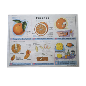 Ancienne affiche scolaire