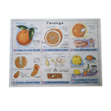 Old vintage school poster orange glass