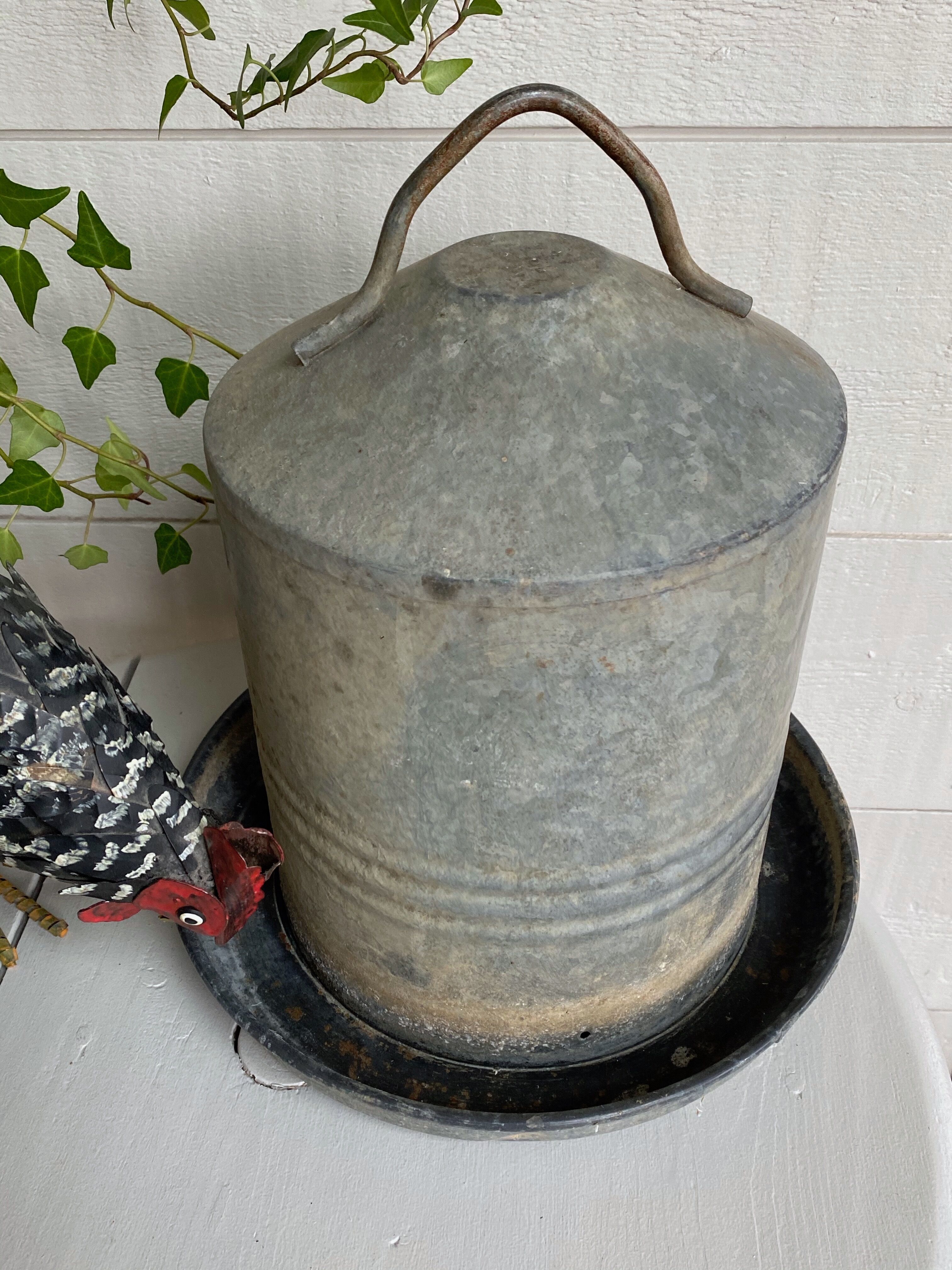 Zinc bird drinker