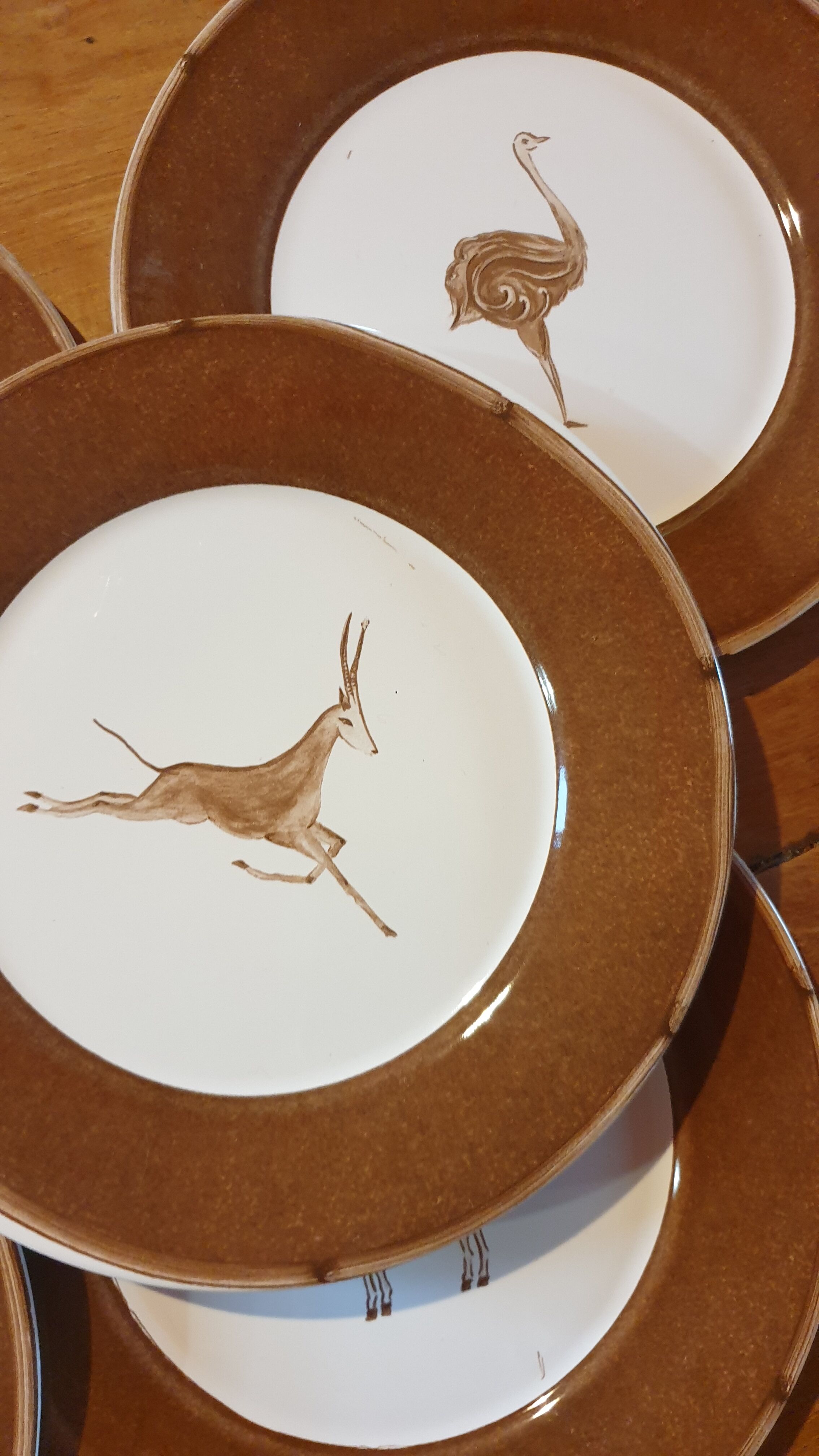 Set 5 assiettes à dessert animaux sauvages d'Afrique