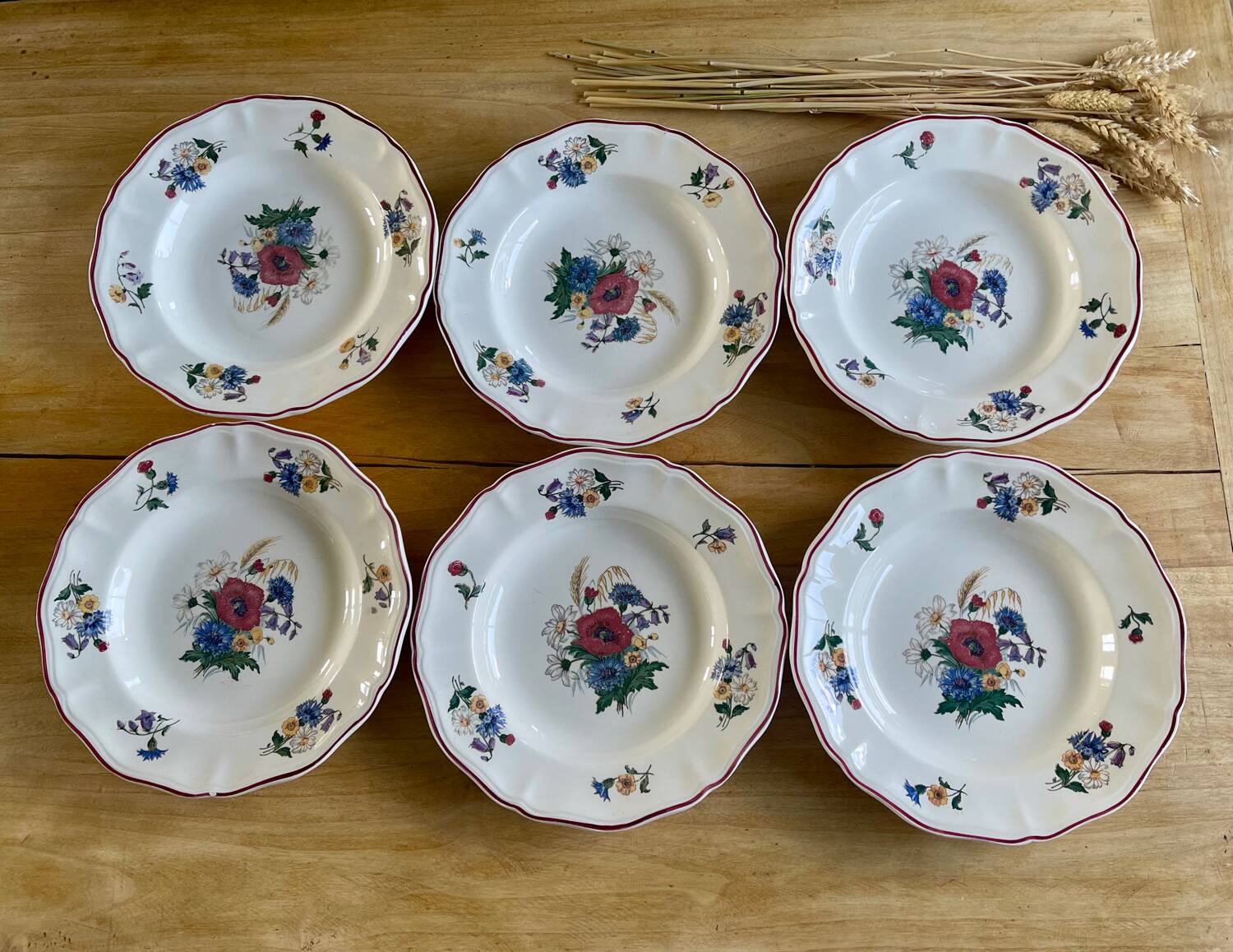 Set of 6 Sarreguemines Agreste plates