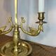 Lampe bouillotte cygnes