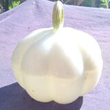 Vallerysthal opaline pumpkin bombonniere