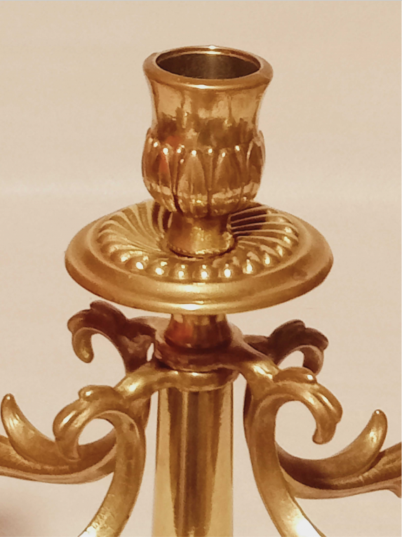 Pair of chandeliers with 5 bronze fires