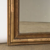 Mirror with Floral Etchings 66x92cm