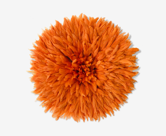 Jujuhat orange 50 cm
