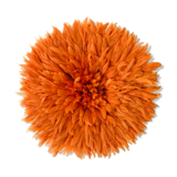 Jujuhat orange 50 cm