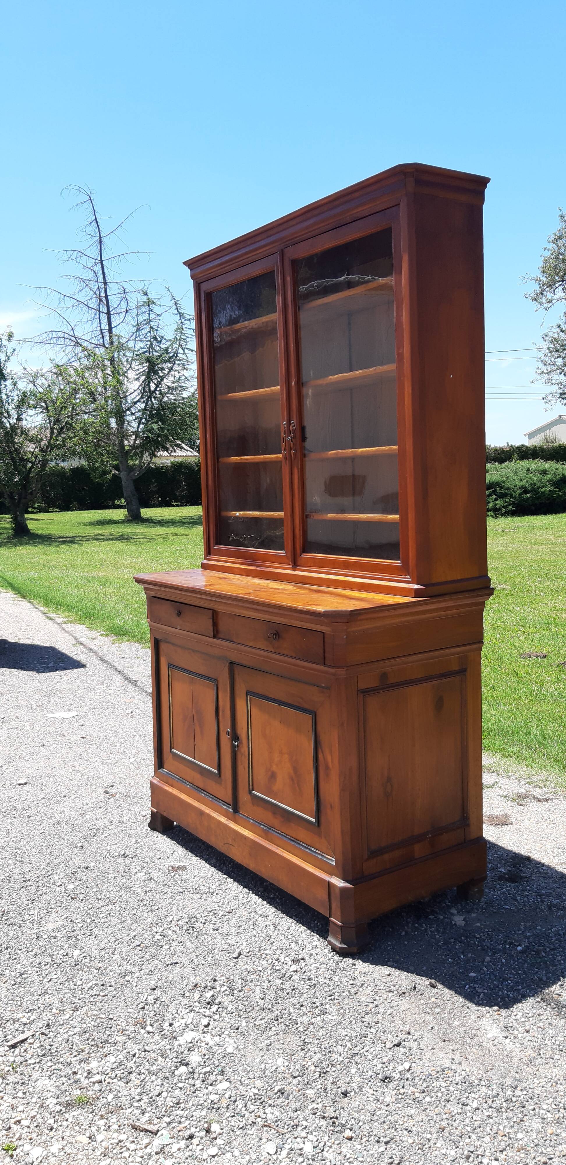 Showcase Walnut 19th