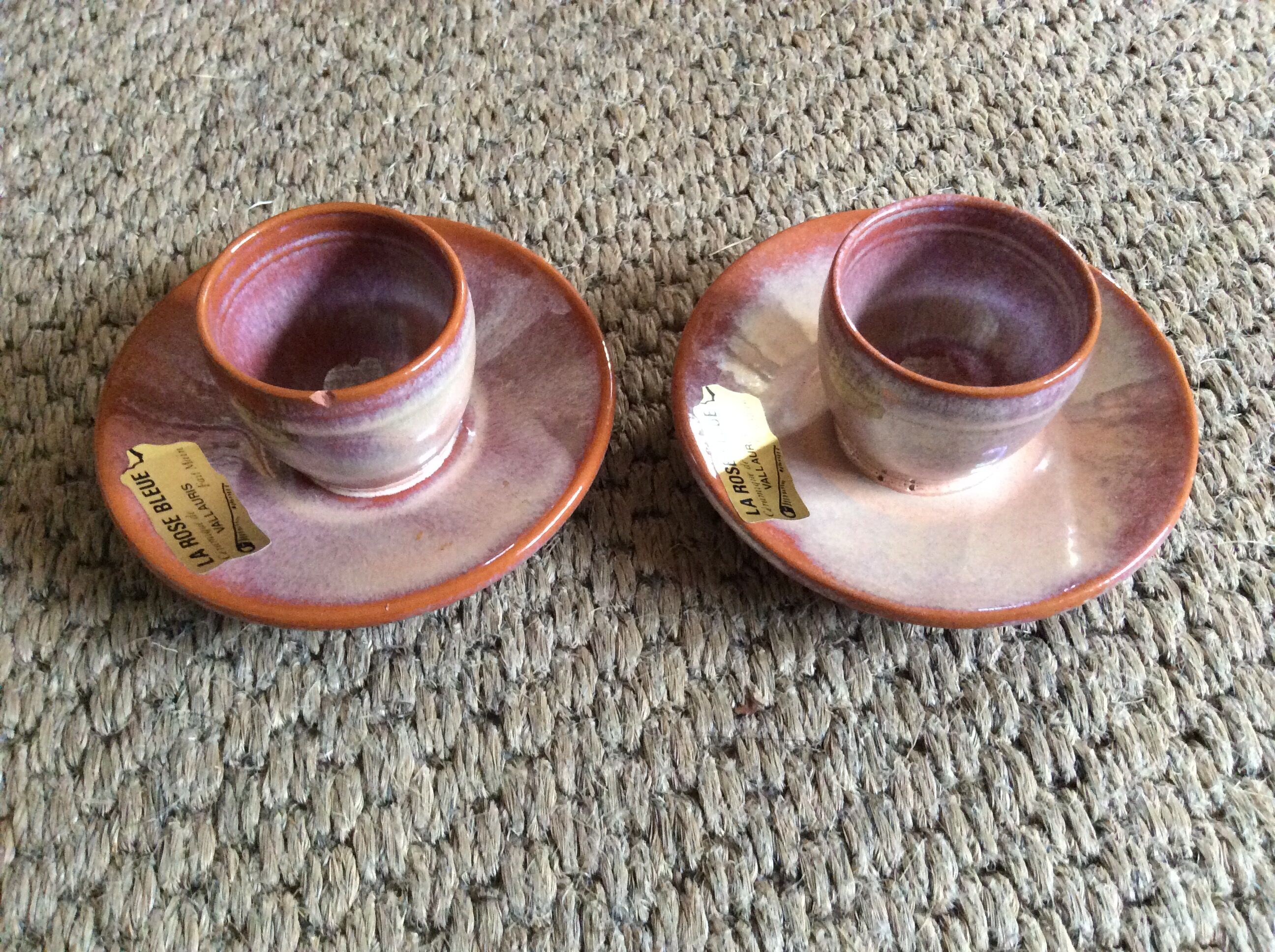 Series of 2 cockroats