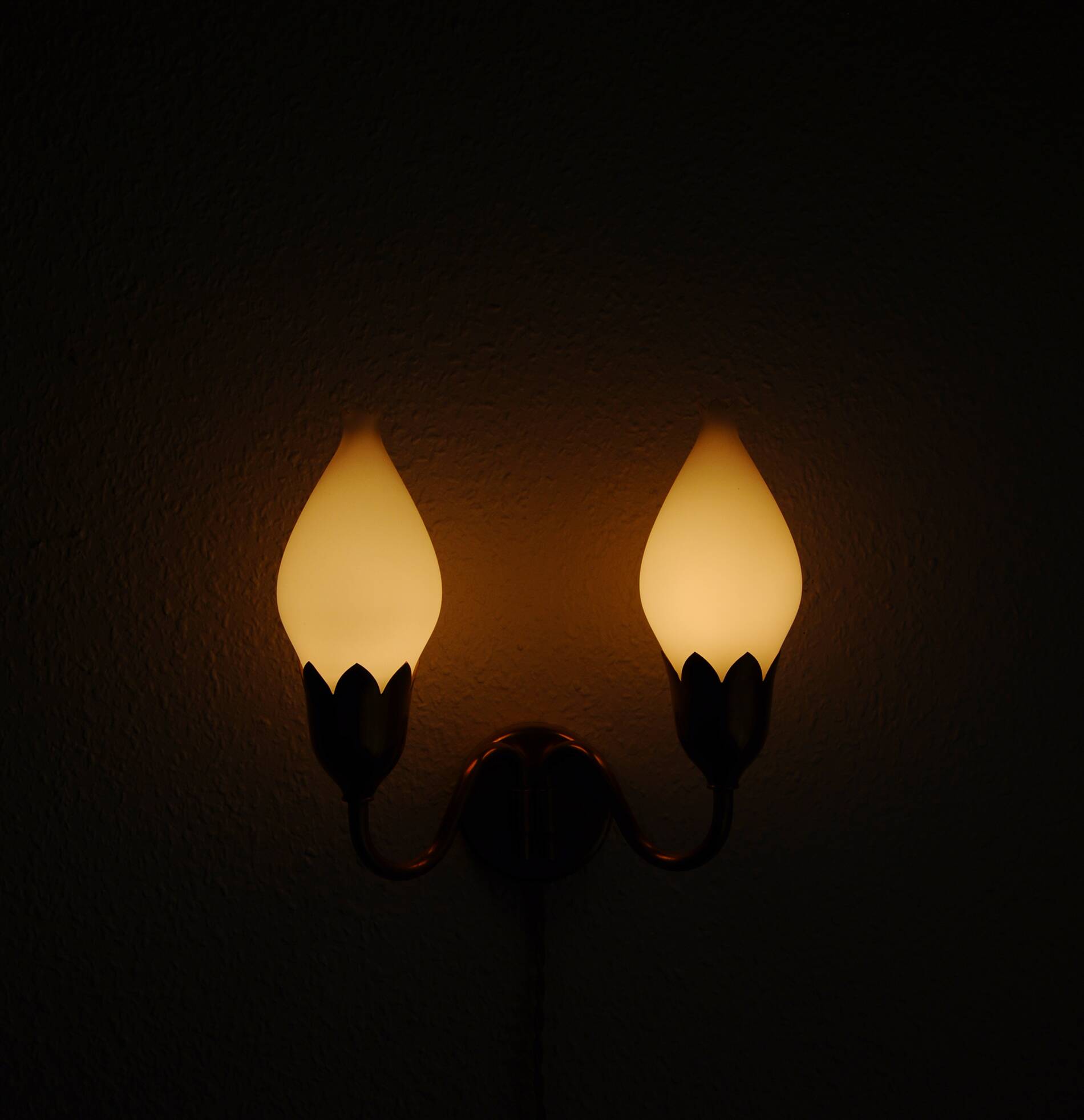 Fog & Mørup 2-Arm Brass and Opaline Glass Tulip Wall Lamp