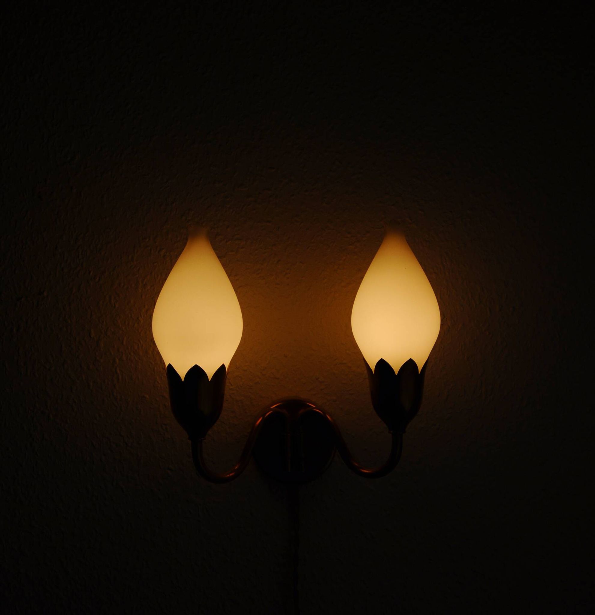 Fog & Mørup 2-Arm Brass and Opaline Glass Tulip Wall Lamp