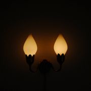 Fog & Mørup 2-Arm Brass and Opaline Glass Tulip Wall Lamp