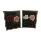 Executive duo Mr. Dubois