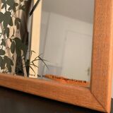 Vintage bird mirror 1970's Aspell Saggers & Co