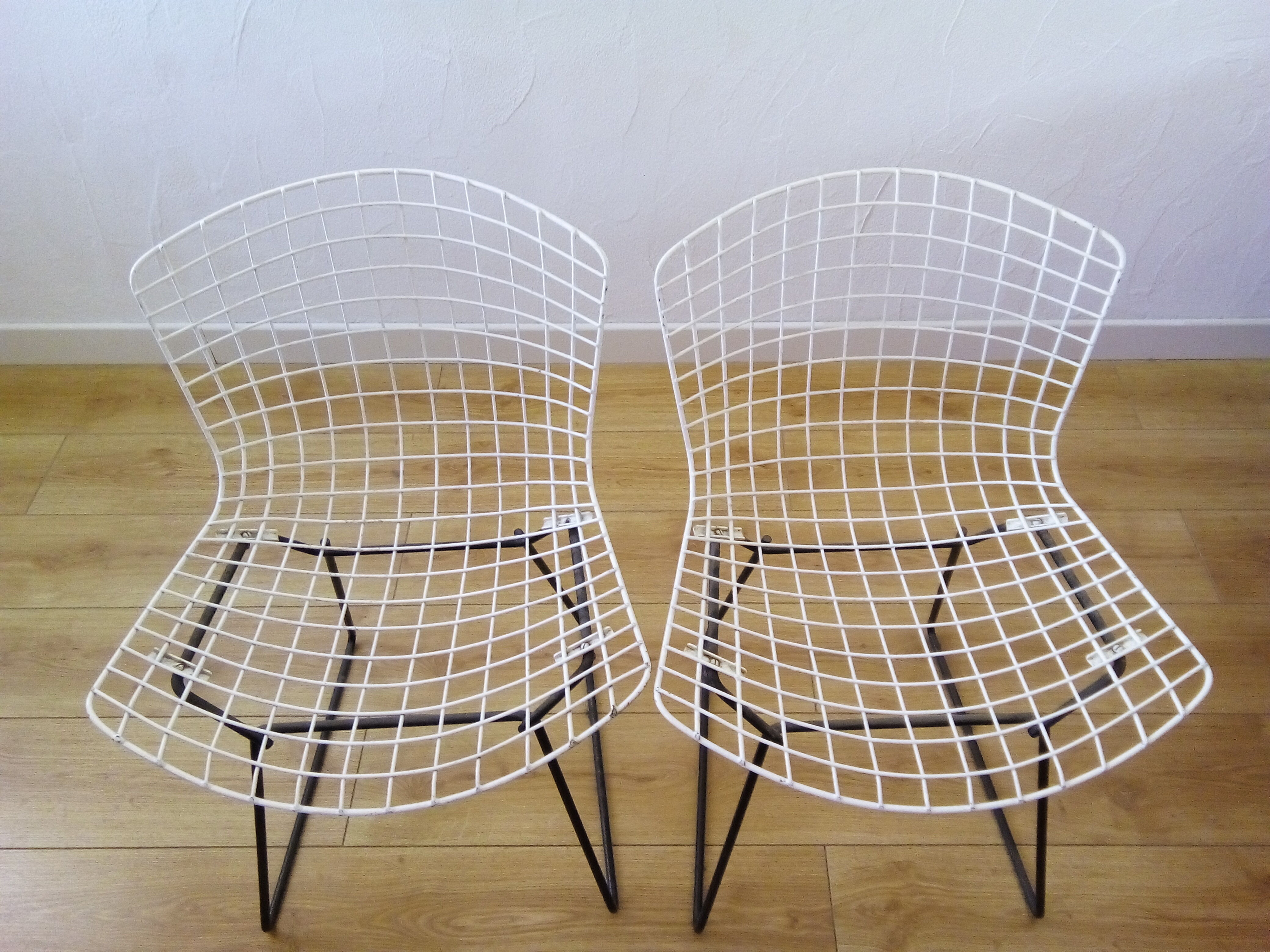 Harry Bertoia 50s chairs