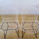 Chaises Harry Bertoia années 50